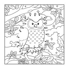 Numbers game (owl bird) N2