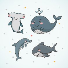 Dolphin shark whale