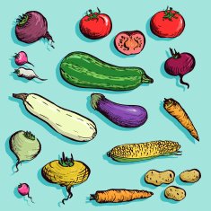 Set of drawing vegetables N2
