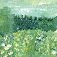 Abstract Meadow