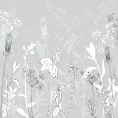 Monochrome line drawing herbs