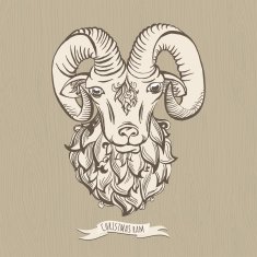Hand drawn doodle ram N2