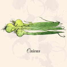 Hand drawn green onions N2