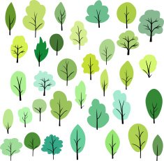 set of different trees N3