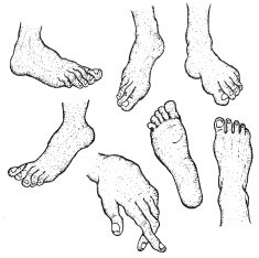 Hand Drawn Human Foot Set