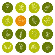 Set of hand drawn floral icons