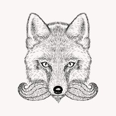 Sketch fox with a beard and moustache