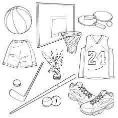 Sports Equipment Collections N2