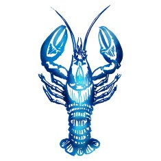Vector lobster sketch