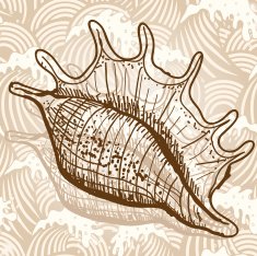 Sea Shell N7