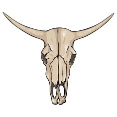vector isolated cartoon - old cow skull