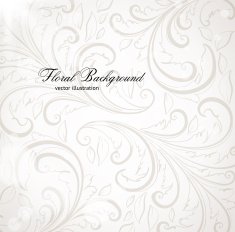 Floral Ornament Background for Vector Design N97