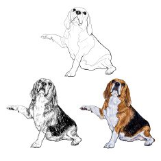 Beagle in the begging hand pose N2
