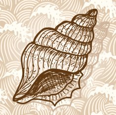 Sea Shell N8
