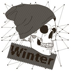 Skull N17