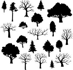 set of different trees N4