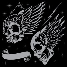 Skulls and wings