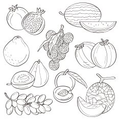 Fruits N10