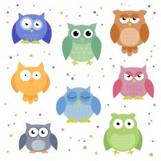 Vector Colorful Owls