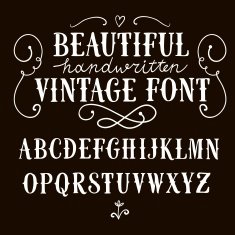 Vintage vector font N2