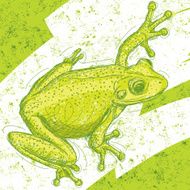 Frog N10