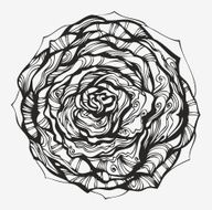 Abstract ornamental rose