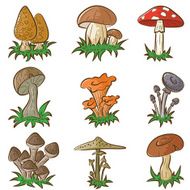 Mushrooms N25