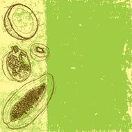 mixed fruit background