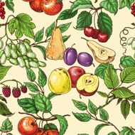 Fruit Pattern N2