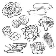 Vegetables Set N9