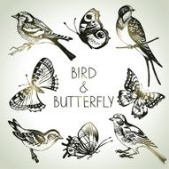 Bird and butterfly set hand drawn illustrations