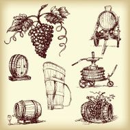 Hand drawn vector wine element