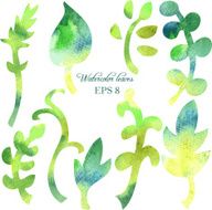 set of different leaves by watercolor