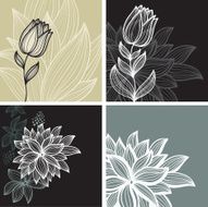 Floral backgrounds N4