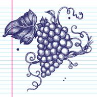 Hand-Drawn Grapes on Paper N2