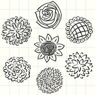 Flowers collection in black and white N5