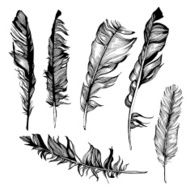 Feather set N12