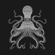 Zentangle stylized white Octopus Hand Drawn lace vector illustr