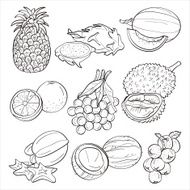 Fruits N11