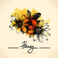 Honey background with hand drawn sketch