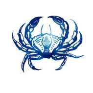 Vector crab sketch