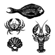 Vector Set of Sketch Sea Food