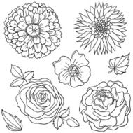 Flowers collection in black and white N6
