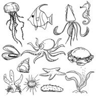 Marine animal collection in Black and White