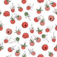 raspberry pattern N2