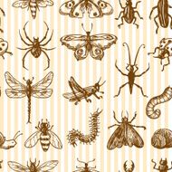 Insects sketch seamless pattern monochrome