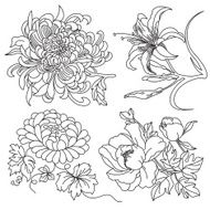 Flowers Collection N4