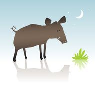 Wild pig