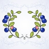 Elegant frame with blueberries N4