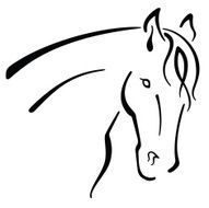 Elegant horse N28
